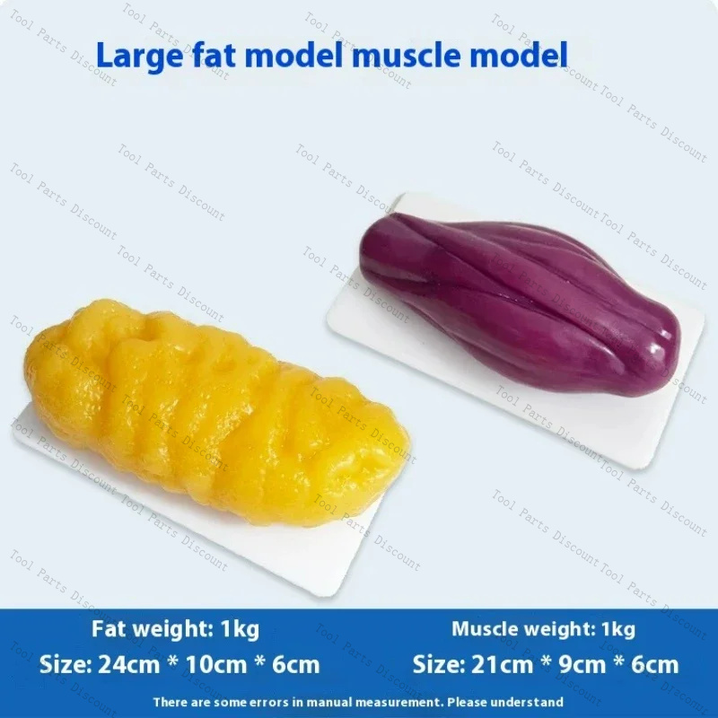 Human Muscle Replicas Weight L - огляд і ціна Nutrition Fitness Center